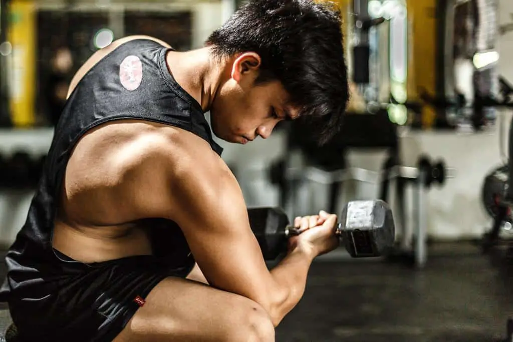 upper body muscle gain using dumbbells