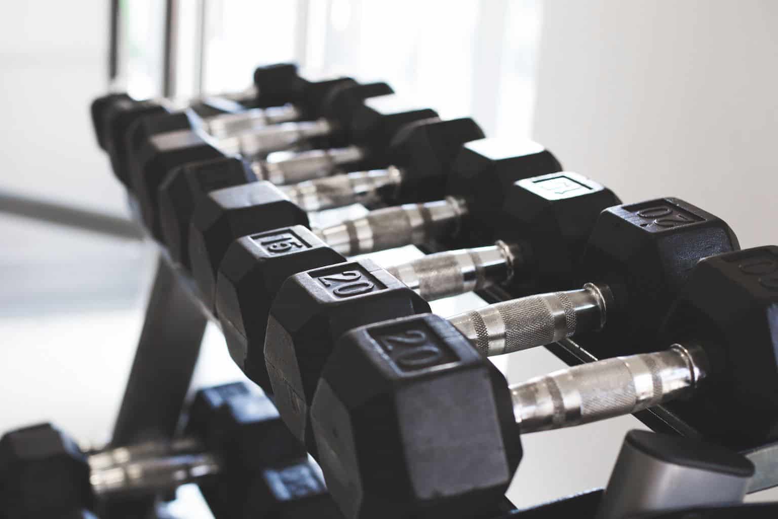 dumbbell weights best workout excerise