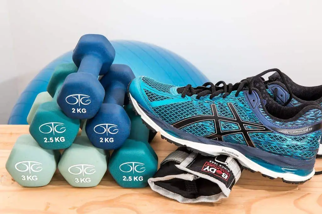 Dumbbell in different weight sizes