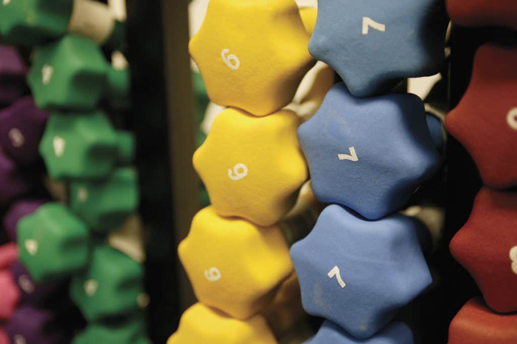 Different sizes of neoprene dumbbells