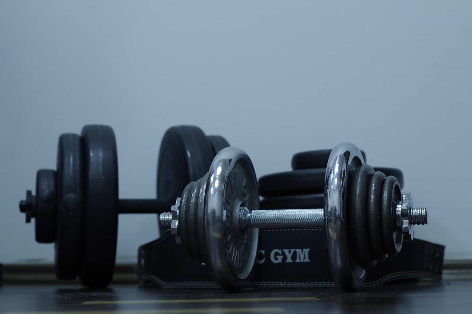 How do Adjustable Dumbbells Work? Simple Fitness Hub