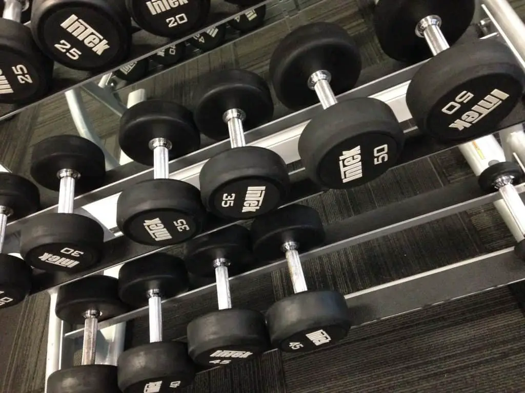 Various dumbbell sizes in display