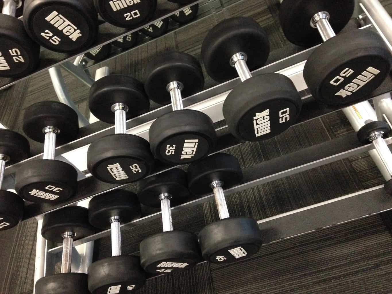 What Size Dumbbells Should I Use SimpleFitnessHub what-size-dumbbells-should-i-use-simplefitnesshub