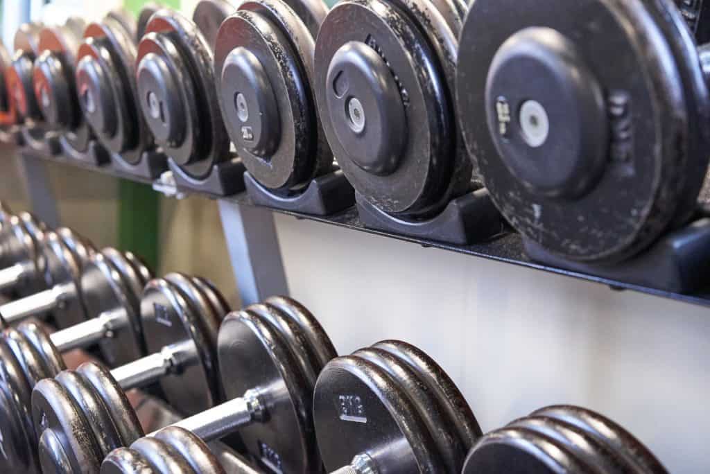 Two rows of dumbbell weights displayed in the gym