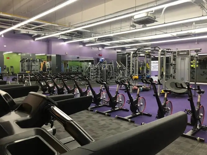Row of spin bikes in a gym