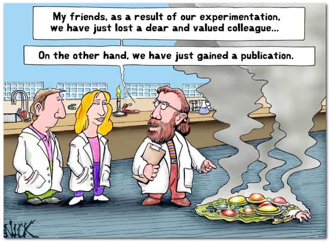 The Scientific Process Cartoon 